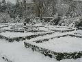 Herb garden in the snow, Greenwich Park P1070361